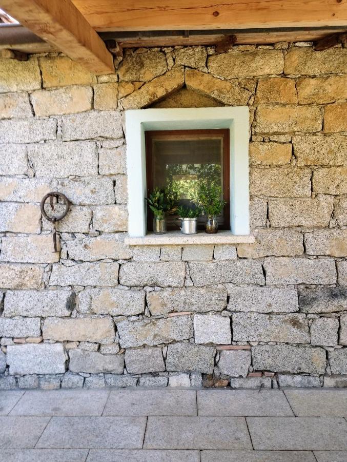 La Casetta Padru Exteriér fotografie
